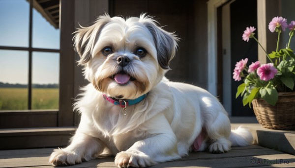 The majestic beauty of a dog set within a dynamic day