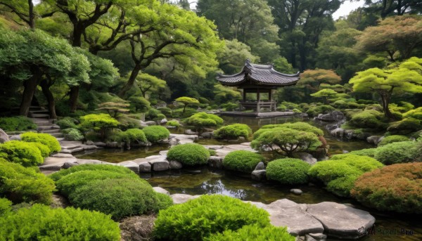 outdoors,day,water,tree,no humans,grass,nature,scenery,forest,rock,stairs,architecture,east asian architecture,river,shrine,moss,stone,stone lantern,building,bush,pond