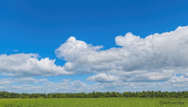 outdoors,sky,day,cloud,tree,blue sky,no humans,cloudy sky,grass,nature,scenery,forest,field,landscape,summer