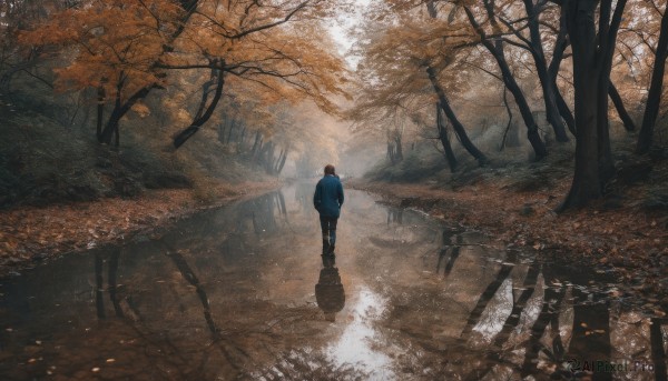 solo, brown hair, 1boy, standing, jacket, male focus, outdoors, pants, artist name, from behind, tree, leaf, nature, scenery, forest, reflection, road, autumn leaves, autumn