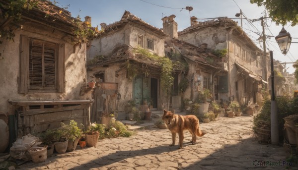A dog set against the backdrop of a captivating day