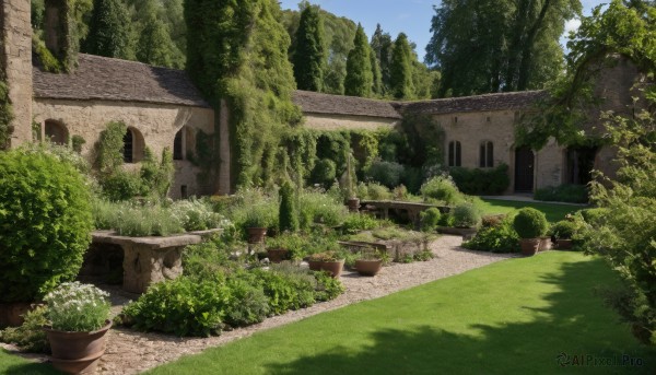 A vibrant garden captured in day