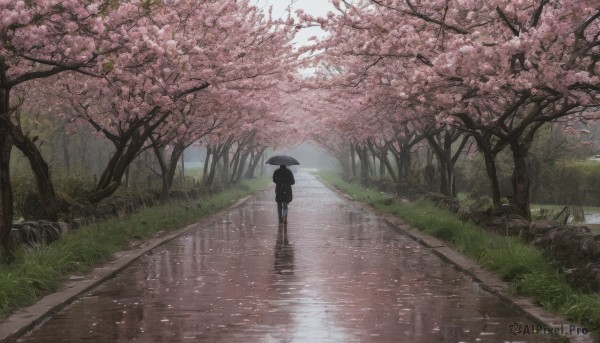 1girl, solo, holding, outdoors, day, tree, dutch angle, umbrella, grass, cherry blossoms, scenery, reflection, walking, holding umbrella, road, street, puddle, path, transparent umbrella