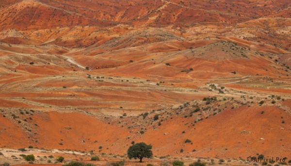 outdoors,sky,cloud,water,tree,no humans,traditional media,nature,scenery,rock,mountain,sand,landscape,orange sky,orange theme,desert,forest,orange background