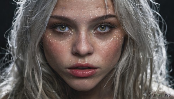 1girl,solo,long hair,looking at viewer,simple background,brown eyes,yellow eyes,white hair,parted lips,lips,eyelashes,black background,portrait,close-up,freckles,realistic,nose,grey hair,teeth,messy hair