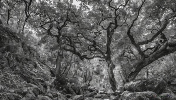 A glimpse of a landscape in a picturesque day