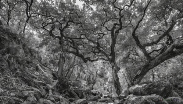 monochrome,greyscale,outdoors,day,tree,no humans,traditional media,sunlight,grass,plant,nature,scenery,forest,rock,light rays,branch,dappled sunlight,landscape