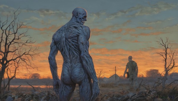 A male set against the backdrop of a serene sunset outdoors