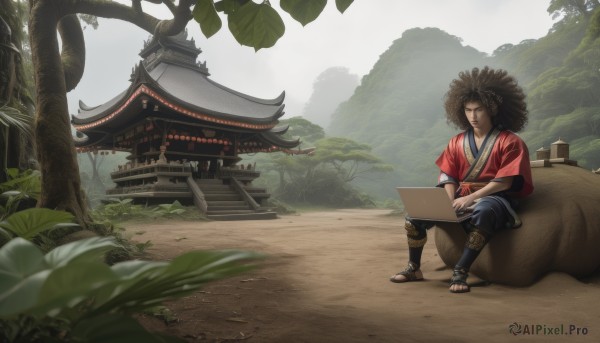 solo,long hair,brown hair,black hair,1boy,sitting,closed mouth,closed eyes,male focus,outdoors,japanese clothes,day,blurry,tree,leaf,sandals,building,scenery,rock,straw hat,architecture,east asian architecture,afro,hat,full body,sky,pants,cloud,black pants,grass,instrument,realistic,computer,laptop