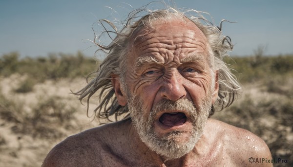 solo,looking at viewer,open mouth,blue eyes,1boy,upper body,white hair,grey hair,male focus,outdoors,sky,day,blurry,blue sky,depth of field,blurry background,facial hair,messy hair,portrait,beard,realistic,mustache,bald,old,old man,wrinkled skin,nude,floating hair,manly