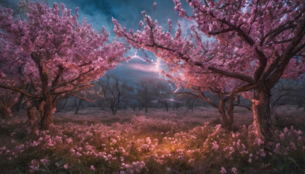 A landscape amidst a calm outdoors
