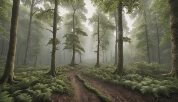 A landscape amidst a calm day