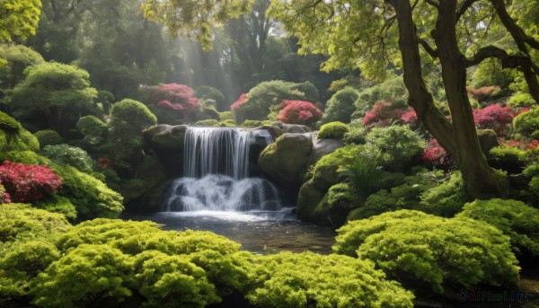 outdoors,day,water,tree,no humans,leaf,sunlight,plant,nature,scenery,forest,light rays,rock,sunbeam,river,waterfall,moss,stream,flower,signature,bush,landscape