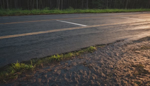 outdoors,no humans,grass,scenery,rain,road,signature,tree,night,nature,path