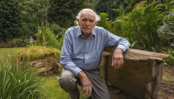 solo,looking at viewer,smile,shirt,long sleeves,1boy,sitting,closed mouth,white hair,grey hair,male focus,outdoors,day,collared shirt,pants,tree,dress shirt,facial hair,grass,blue shirt,plant,nature,beard,realistic,mustache,bald,manly,grey pants,old,old man,wrinkled skin,closed eyes,white shirt,scar,scar on face,forest,bench,photo background,log