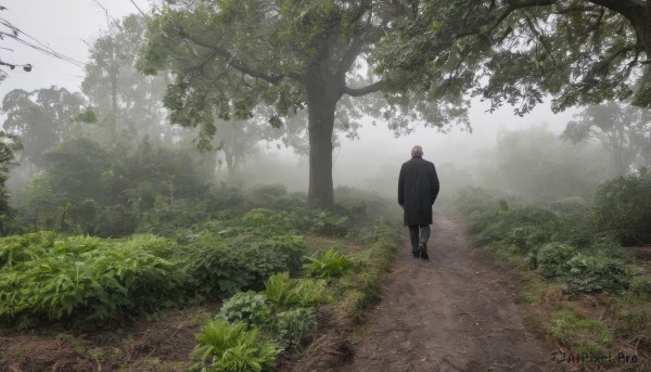 solo,short hair,1boy,standing,jacket,male focus,outdoors,day,pants,from behind,tree,black pants,grass,plant,nature,scenery,forest,walking,road,bush,power lines,path,brown hair,black footwear,coat,black coat,hands in pockets,facing away,wide shot,utility pole