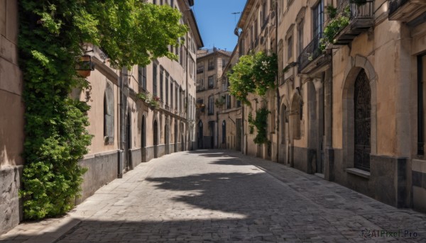 A stunning portrayal of a street in a lush day