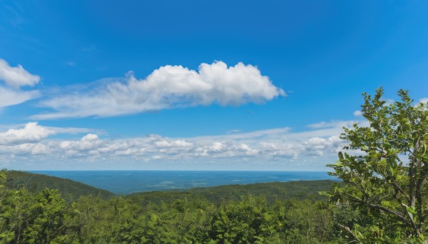 outdoors,sky,day,cloud,water,tree,blue sky,no humans,ocean,cloudy sky,grass,plant,nature,scenery,forest,mountain,horizon,summer,landscape,hill,field