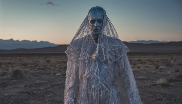 solo,looking at viewer,1boy,jewelry,standing,male focus,outdoors,sky,water,necklace,blurry,no humans,blurry background,beach,veil,realistic,closed mouth,upper body,colored skin,monster,blue skin,alien