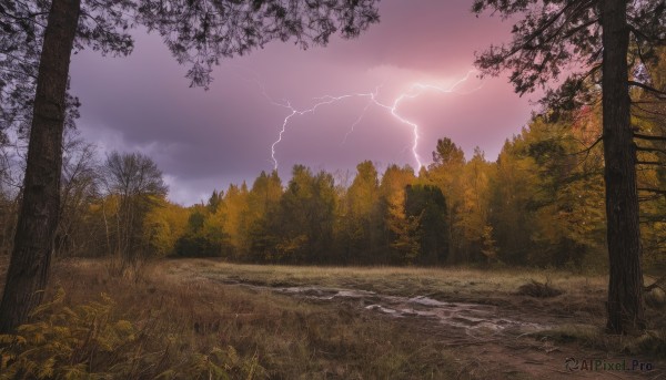 A vivid sunset outdoors showcasing a lightning