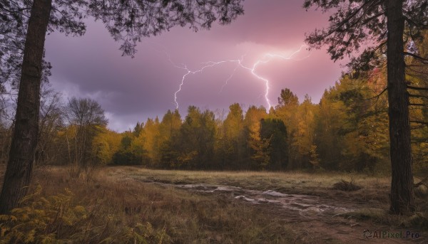 outdoors,sky,cloud,water,tree,no humans,cloudy sky,grass,nature,scenery,forest,rock,electricity,road,bush,lightning,landscape,path,sunset,mountain