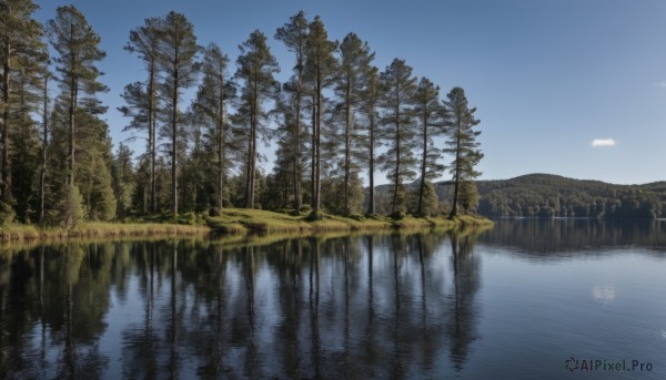 outdoors,sky,day,cloud,water,tree,blue sky,no humans,grass,nature,scenery,forest,reflection,river,landscape,lake,reflective water,plant