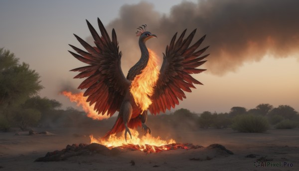 solo,open mouth,standing,outdoors,wings,sky,cloud,tree,pokemon (creature),no humans,bird,fire,smoke,flying,rock,animal focus,talons,beak,red eyes,closed mouth,water,glowing,nature,scenery,glowing eyes,molten rock