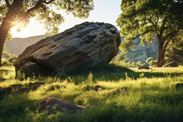 outdoors,sky,day,blurry,tree,no humans,depth of field,sunlight,grass,nature,scenery,forest,rock,bush,moss,stone,blue sky,landscape