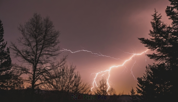 outdoors,sky,cloud,tree,no humans,cloudy sky,grass,nature,scenery,forest,sunset,electricity,bare tree,lightning,monochrome,dark,landscape,red sky