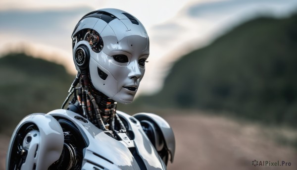 1girl,solo,looking at viewer,upper body,outdoors,blurry,black eyes,lips,no humans,blurry background,robot,mecha,1other,science fiction,mountain,realistic,android,cyborg,robot joints,humanoid robot,depth of field,expressionless,portrait,close-up,joints,cable,white eyes,no pupils,damaged,mechanical parts