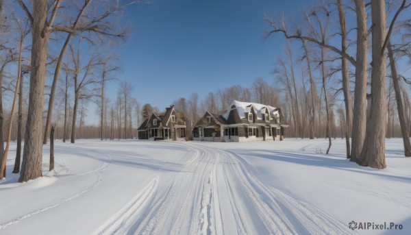 The majestic beauty of a unique subject set within a calm snowy day