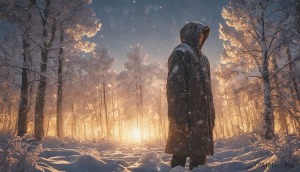 A male surrounded by a lush snowy outdoors