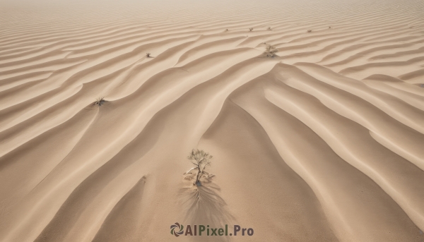 1girl,solo,outdoors,barefoot,water,beach,scenery,sand,wide shot,surreal,desert,monochrome,signature,no humans,plant,branch,sepia,brown theme,still life