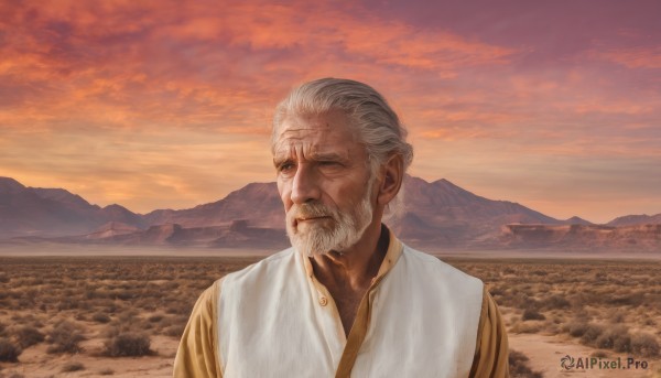 solo,1boy,closed mouth,upper body,white hair,grey hair,male focus,outdoors,one eye closed,sky,cloud,facial hair,scar,scenery,beard,sunset,mountain,realistic,mustache,manly,field,old,old man,grey eyes,cloudy sky,scar on face,scar across eye,mountainous horizon,wrinkled skin