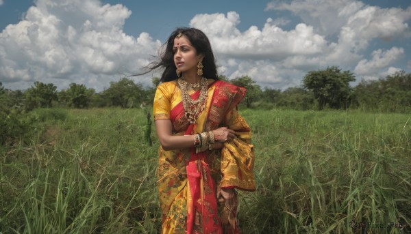 1girl,solo,long hair,black hair,dress,holding,brown eyes,jewelry,standing,short sleeves,earrings,outdoors,sky,day,cloud,dark skin,necklace,bracelet,dark-skinned female,tree,blue sky,lips,looking to the side,looking away,cloudy sky,grass,wind,nature,scenery,realistic,field,facial mark