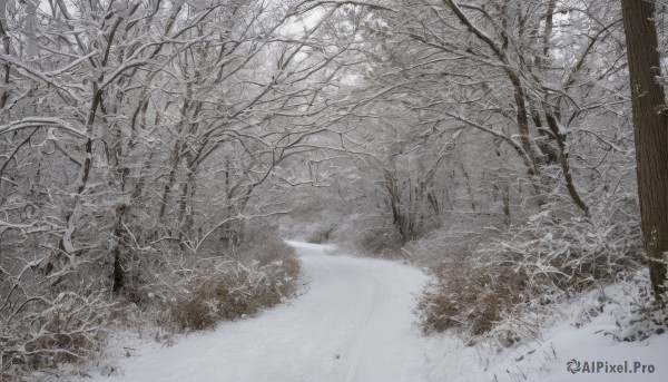 A female showcased in a bold snowy outdoors