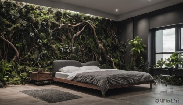 A majestic day featuring a indoors