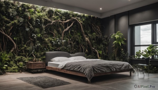 outdoors,sky,day,cloud,indoors,tree,pillow,no humans,window,bed,chair,table,plant,scenery,couch,wooden floor,potted plant,lamp,bedroom