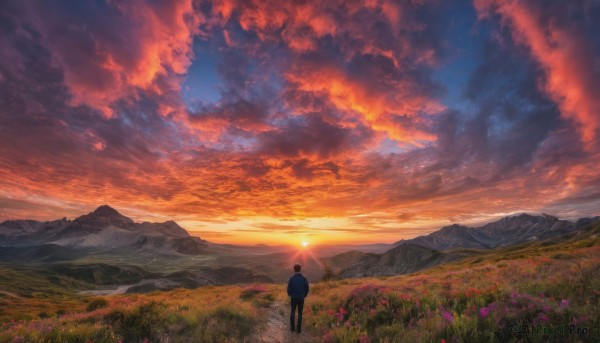 solo, 1boy, standing, flower, male focus, outdoors, sky, cloud, bag, from behind, dutch angle, sunlight, cloudy sky, grass, scenery, sunset, mountain, sun, horizon, field, mountainous horizon, red sky