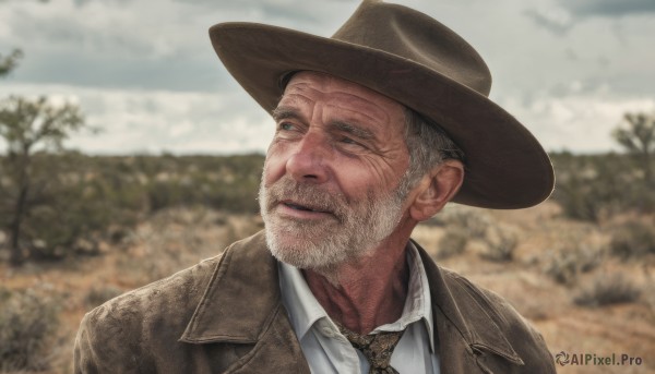 solo,short hair,blue eyes,shirt,1boy,hat,jacket,white shirt,upper body,grey hair,male focus,outdoors,parted lips,necktie,sky,day,collared shirt,blurry,tree,coat,looking to the side,blurry background,facial hair,portrait,beard,brown jacket,mature male,realistic,brown headwear,manly,old,old man,brown necktie,cloud,lips,grey eyes,depth of field,cloudy sky,yellow necktie