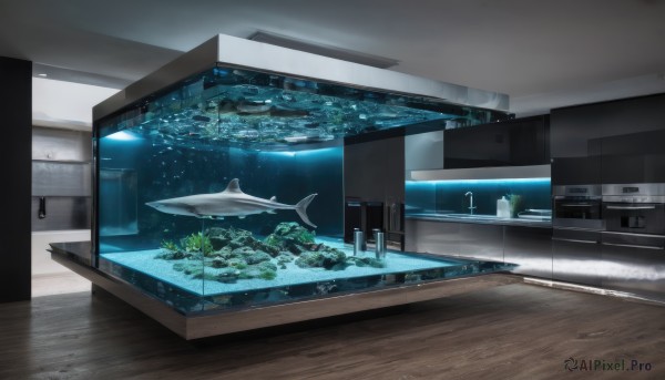 indoors,water,no humans,window,ocean,table,plant,scenery,fish,wooden floor,door,watercraft,kitchen,whale,science fiction,underwater,monitor,dolphin,aquarium