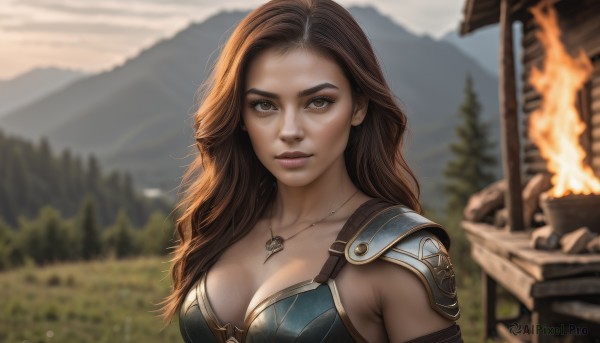 1girl,solo,long hair,breasts,looking at viewer,smile,large breasts,brown hair,cleavage,brown eyes,jewelry,medium breasts,closed mouth,collarbone,upper body,outdoors,sky,necklace,armor,blurry,tree,lips,eyelashes,depth of field,blurry background,wavy hair,fire,shoulder armor,nature,pendant,pauldrons,mountain,nose,day,artist name,portrait,forehead,realistic