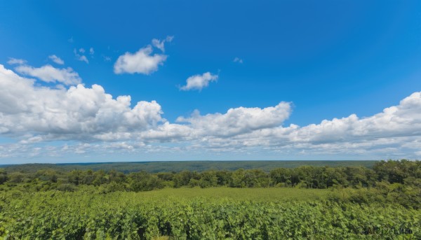 outdoors,sky,day,cloud,water,tree,blue sky,no humans,ocean,cloudy sky,grass,nature,scenery,forest,horizon,field,landscape,summer,hill