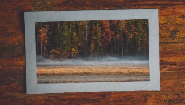 outdoors,tree,no humans,leaf,traditional media,grass,nature,scenery,forest,autumn leaves,photo (object),maple leaf,autumn,fog,path,field