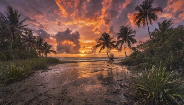 outdoors,sky,cloud,water,tree,no humans,ocean,beach,sunlight,cloudy sky,grass,plant,scenery,reflection,sunset,sand,palm tree,sun,horizon,road,bush,evening,orange sky,nature,twilight