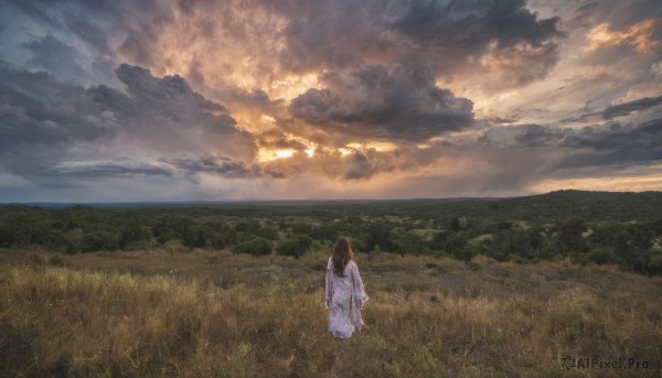 1girl,solo,long hair,brown hair,black hair,long sleeves,dress,standing,outdoors,japanese clothes,sky,cloud,kimono,from behind,cloudy sky,grass,nature,scenery,sunset,mountain,horizon,facing away,field,hill,sash,sunlight,yukata,landscape