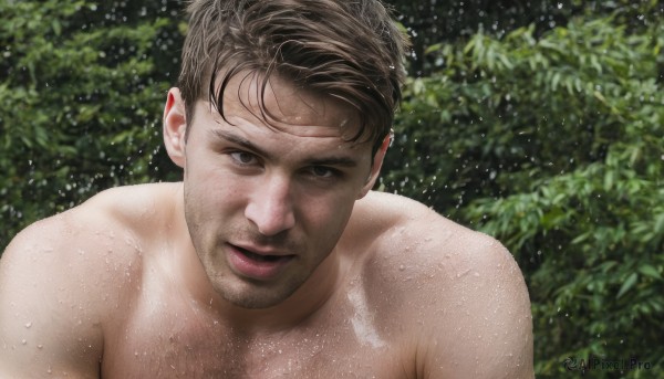 solo,looking at viewer,short hair,brown hair,1boy,upper body,male focus,nude,outdoors,parted lips,black eyes,lips,wet,facial hair,portrait,nature,beard,freckles,rain,topless male,water drop,realistic,stubble,wet hair,smile,black hair,brown eyes,closed mouth,day,muscular,leaf,pectorals,muscular male,bara,sideburns,undercut