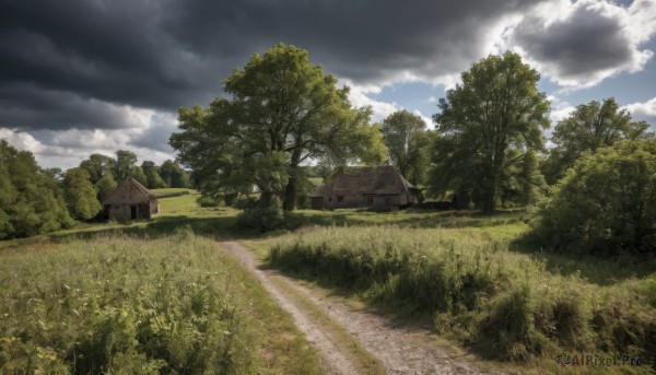 outdoors,sky,day,cloud,tree,blue sky,no humans,cloudy sky,grass,ground vehicle,building,nature,scenery,motor vehicle,forest,road,bush,field,house,path,flower,landscape