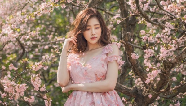 1girl, solo, long hair, looking at viewer, brown hair, dress, brown eyes, upper body, flower, outdoors, parted lips, day, hand up, blurry, tree, lips, blurry background, sunlight, cherry blossoms, pink dress, realistic, dappled sunlight