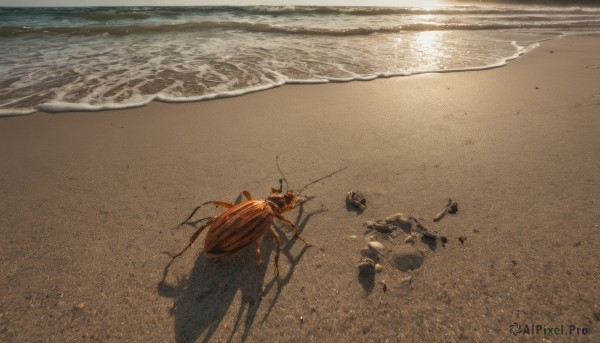 outdoors, day, water, ocean, beach, scenery, sand, footprints